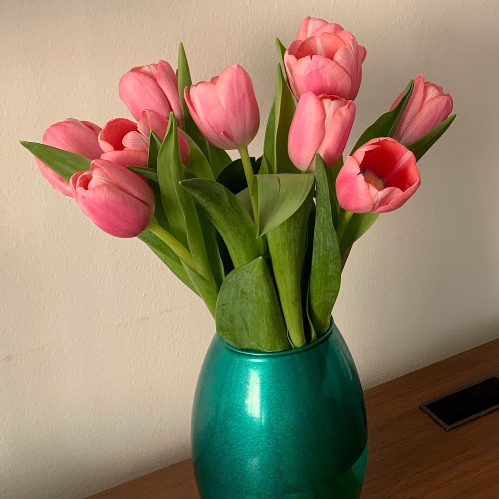 Meet your Posher, Naomi